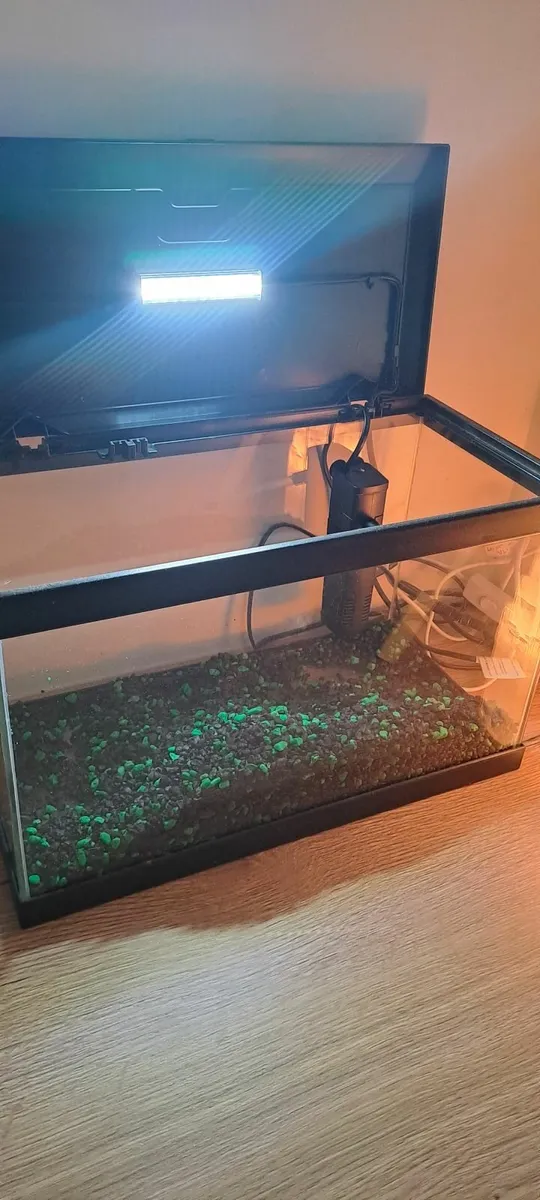 Cold Water Fish Tank - Image 3