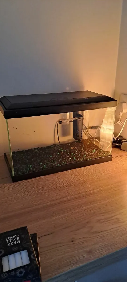 Cold Water Fish Tank - Image 1