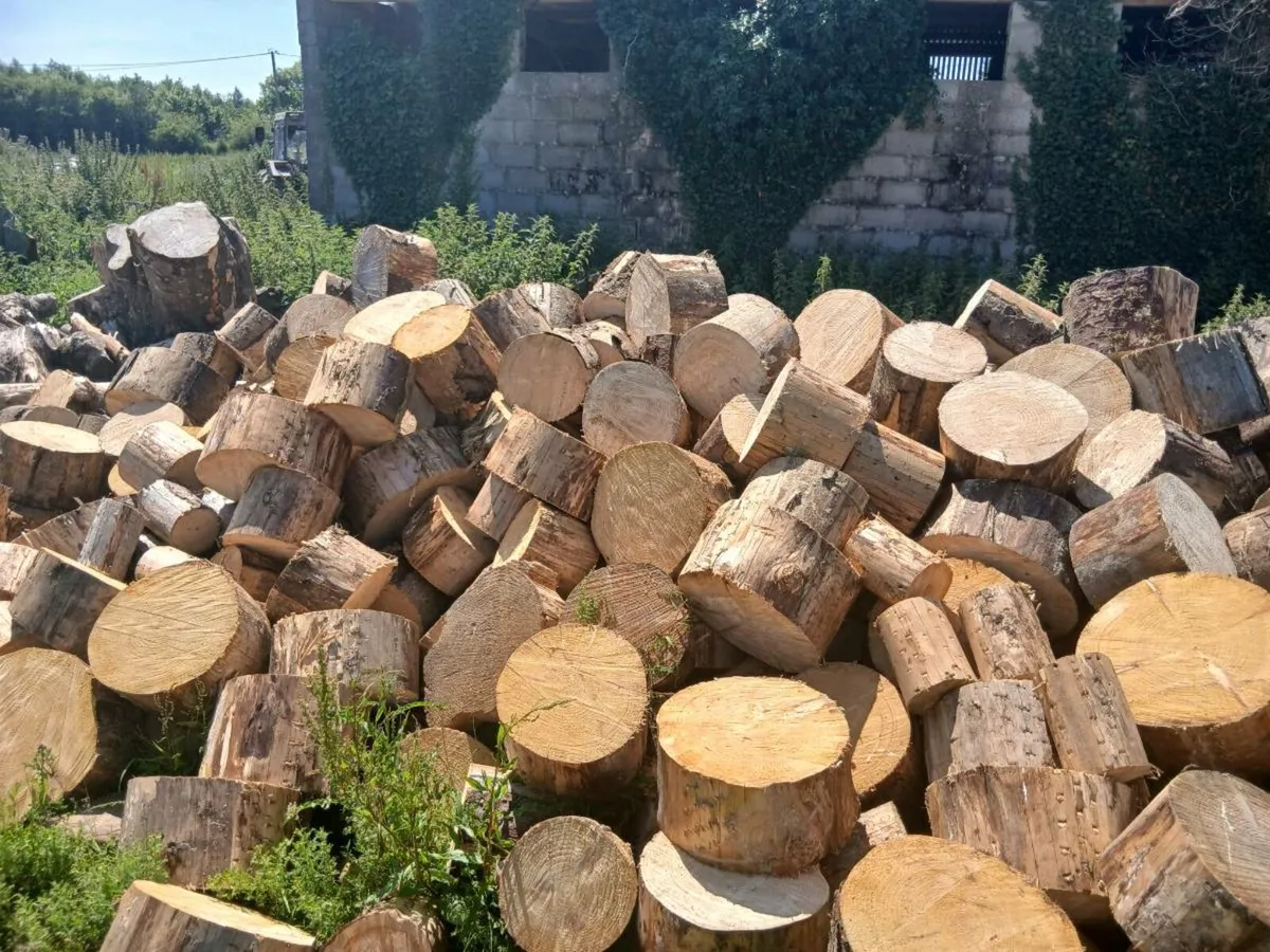 Firewood for sale - Image 1