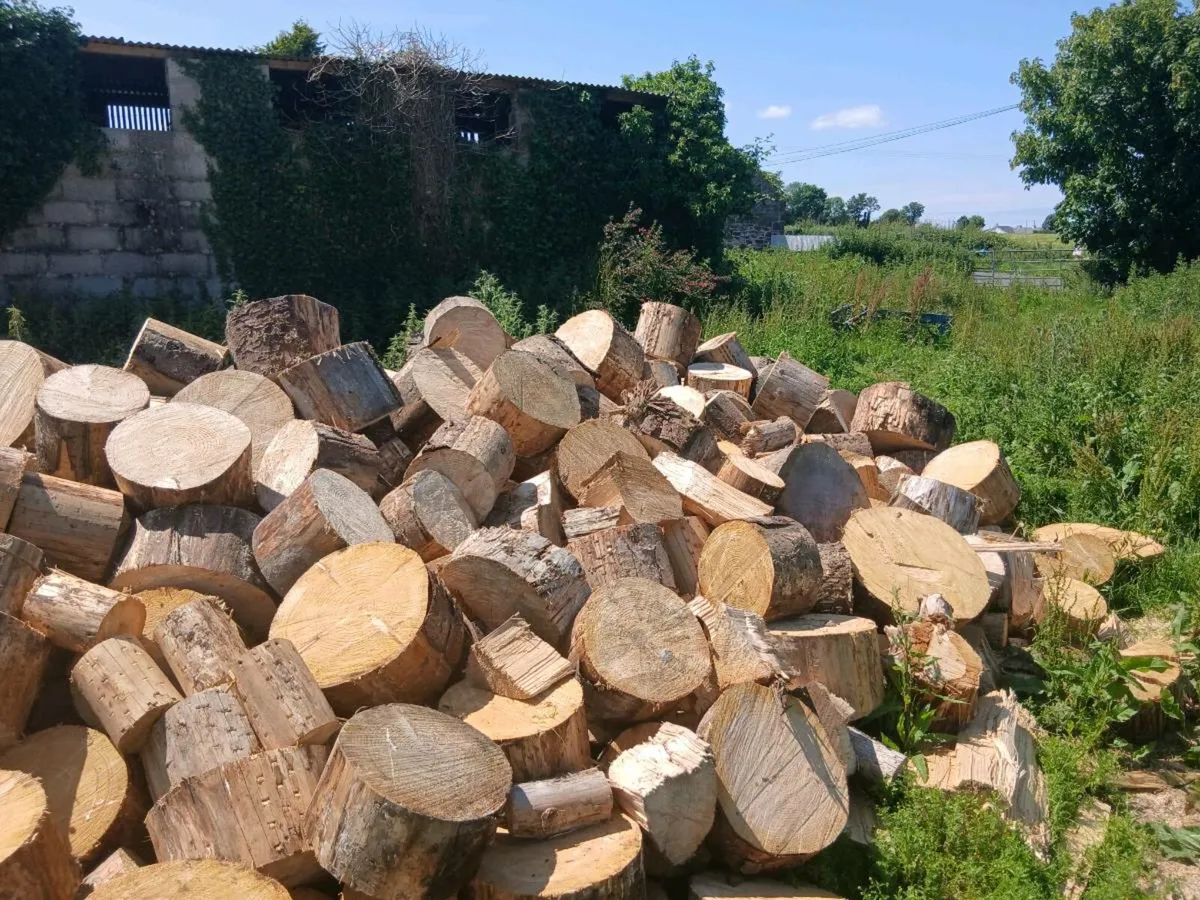 Firewood for sale - Image 2