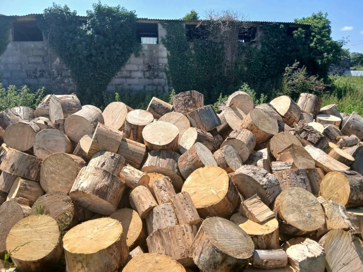 Firewood for sale - Image 3