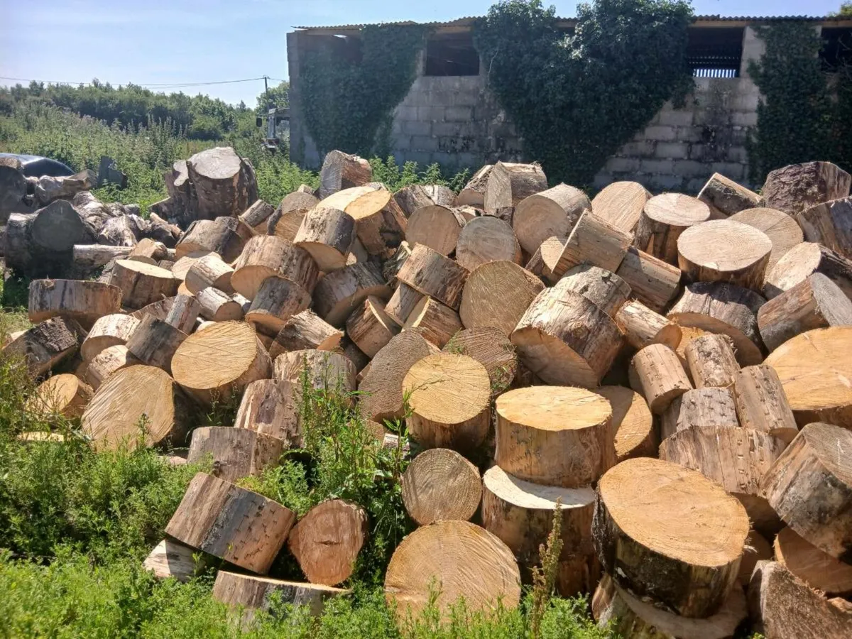 Firewood for sale - Image 4
