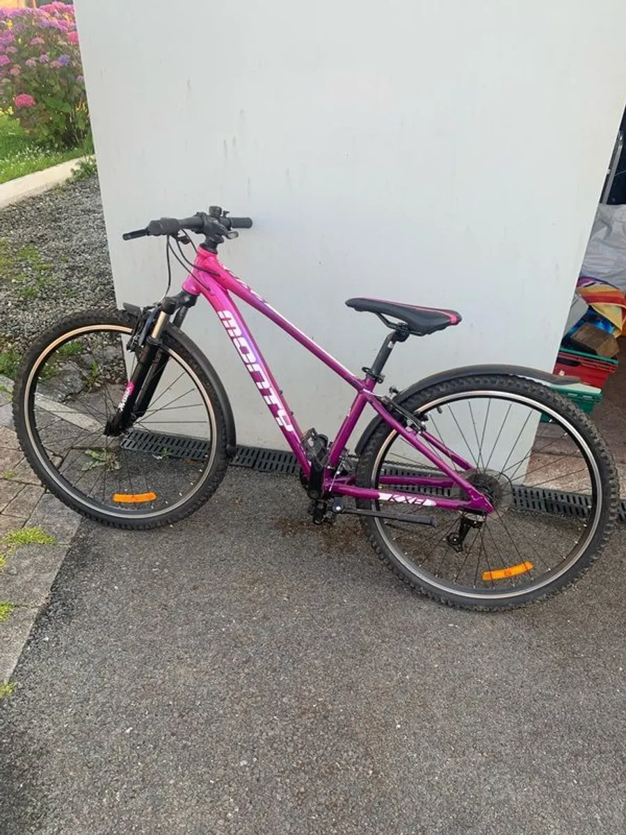 Monty kx8 - Image 1