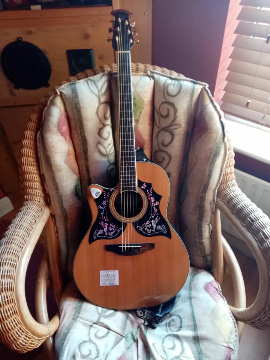 Left-Handed Acoustic-Electric Guitar - Image 1