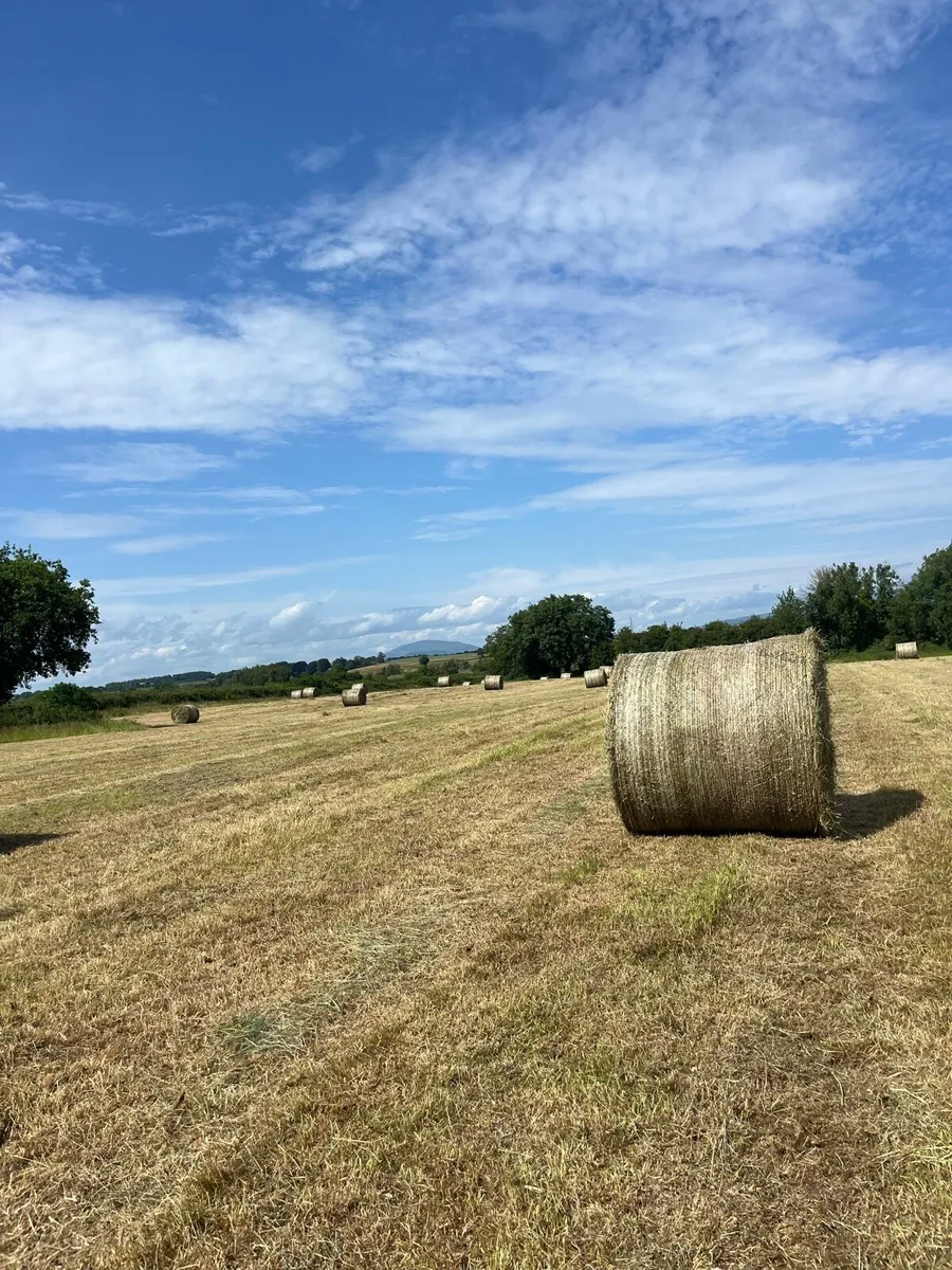 Silage Bales 2025 - Image 1