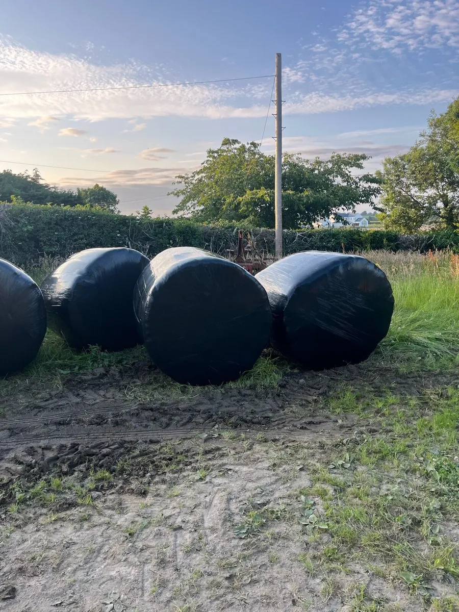 Silage Bales 2025 - Image 3
