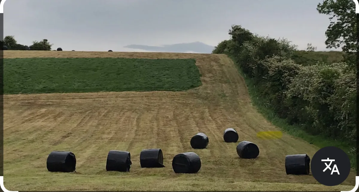 Silage Bales