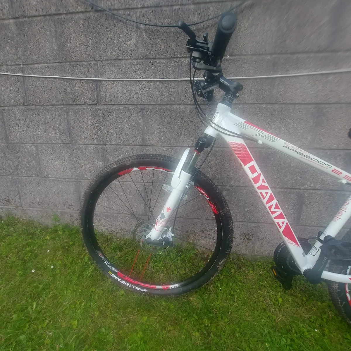 New bike - Image 1
