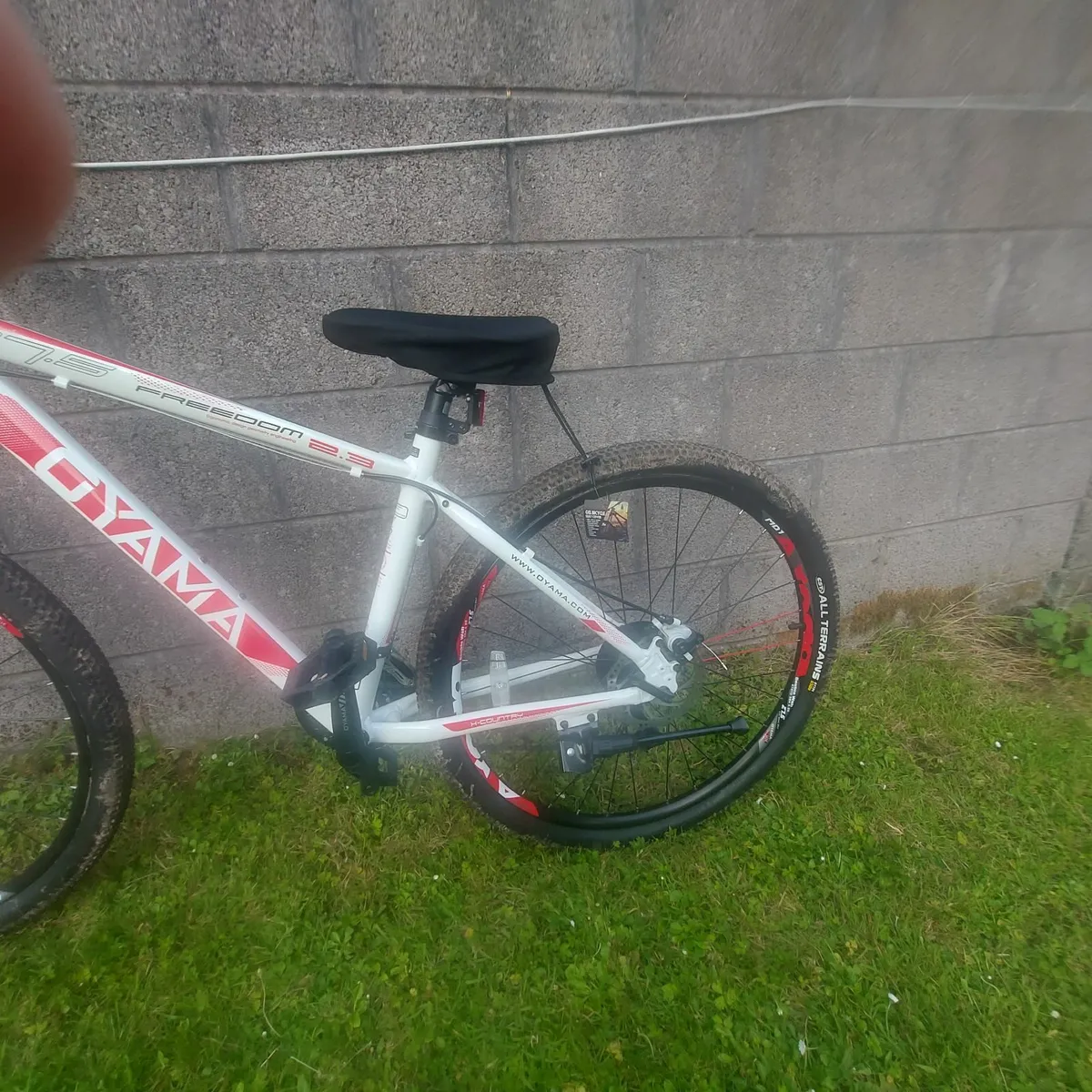 New bike - Image 2