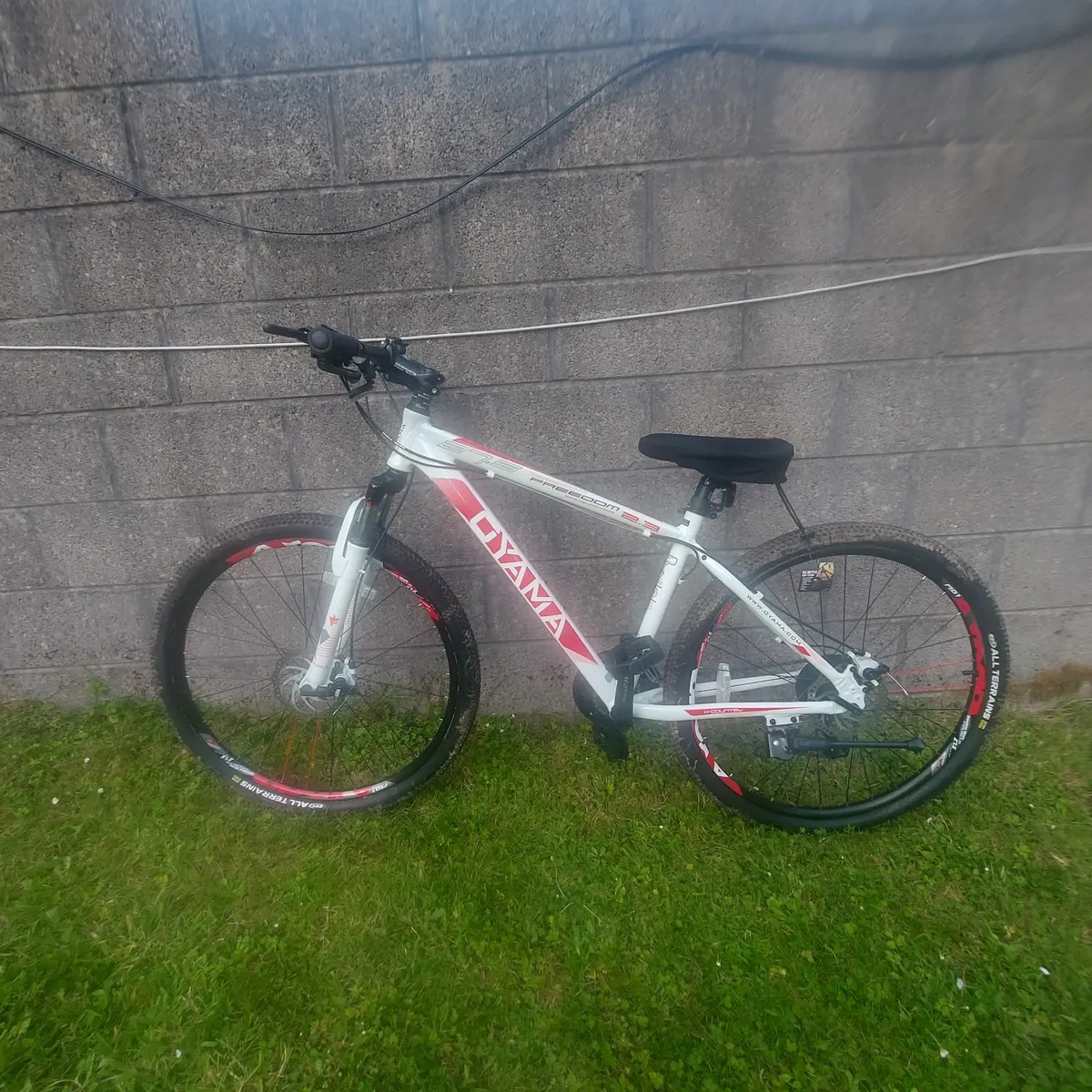 New bike - Image 3