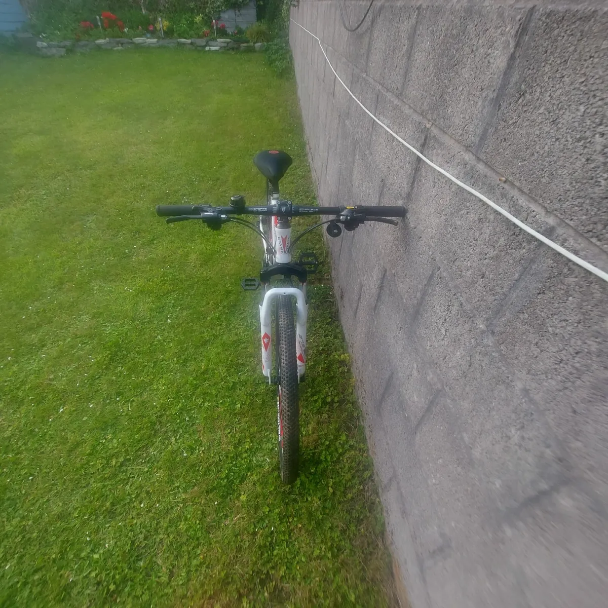 New bike - Image 4