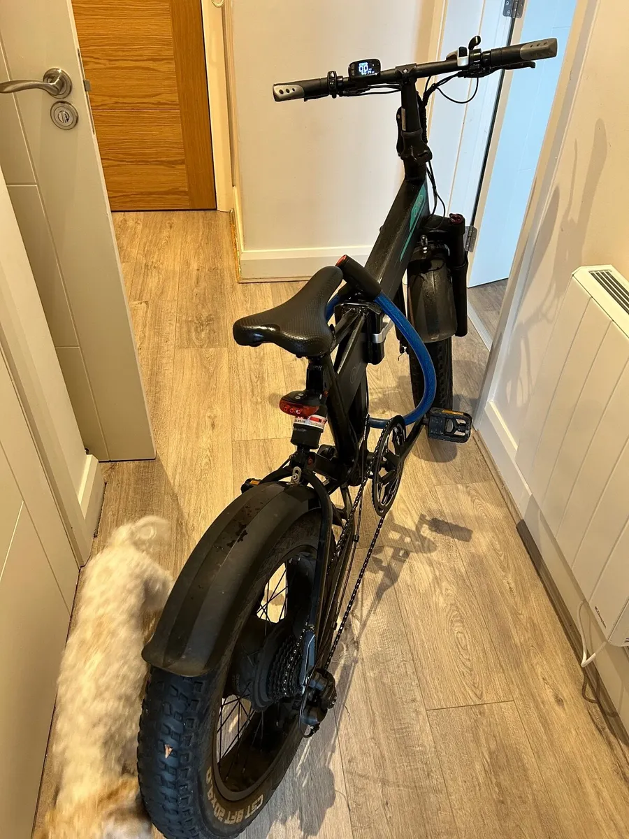 Electric bike FIIDO M1 PRO - Image 3