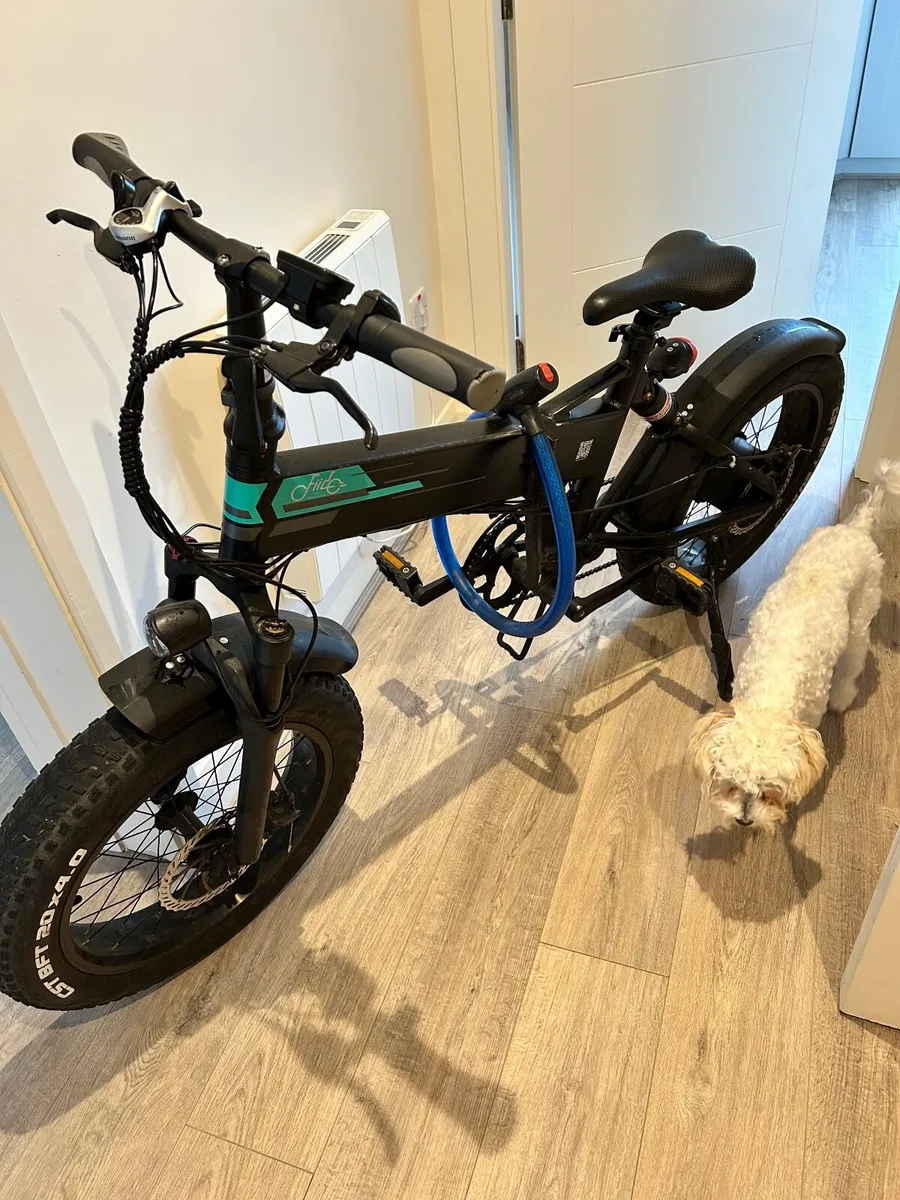 Electric bike FIIDO M1 PRO - Image 1