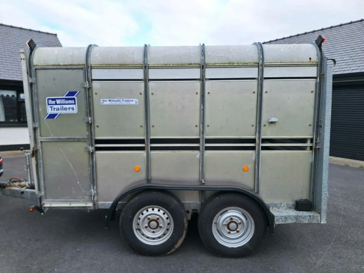 Ifor williams 10x6 - Image 2