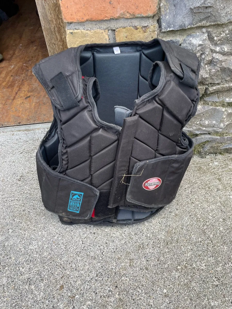 Horse riding gear - Image 2