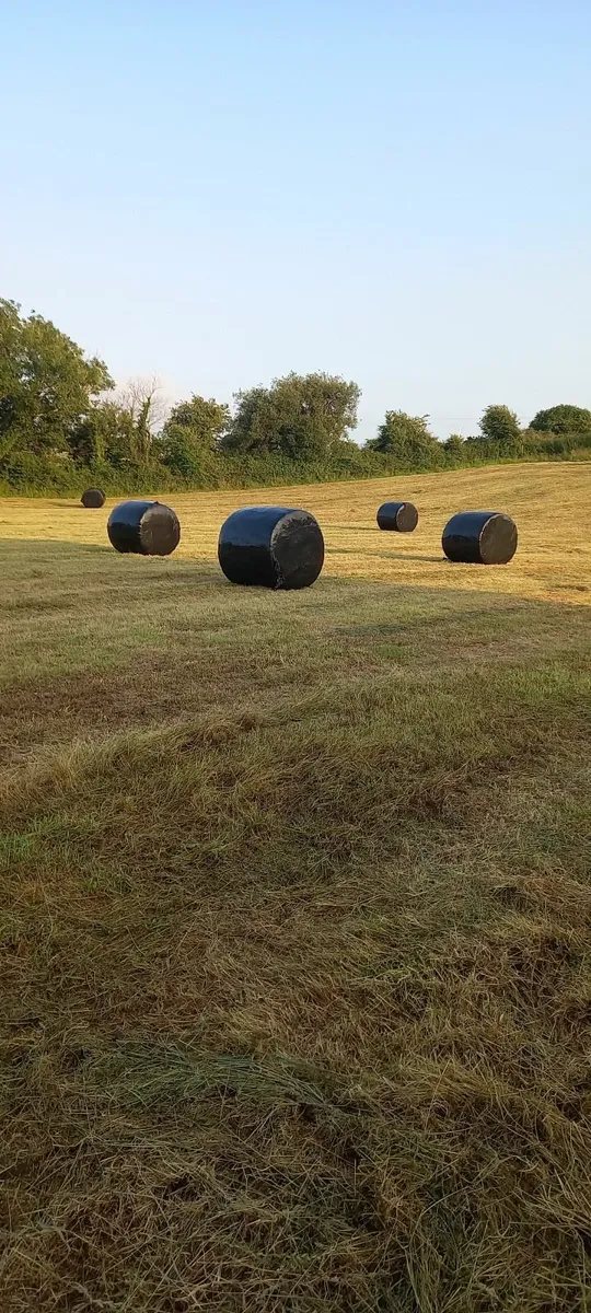 Silage - Image 2