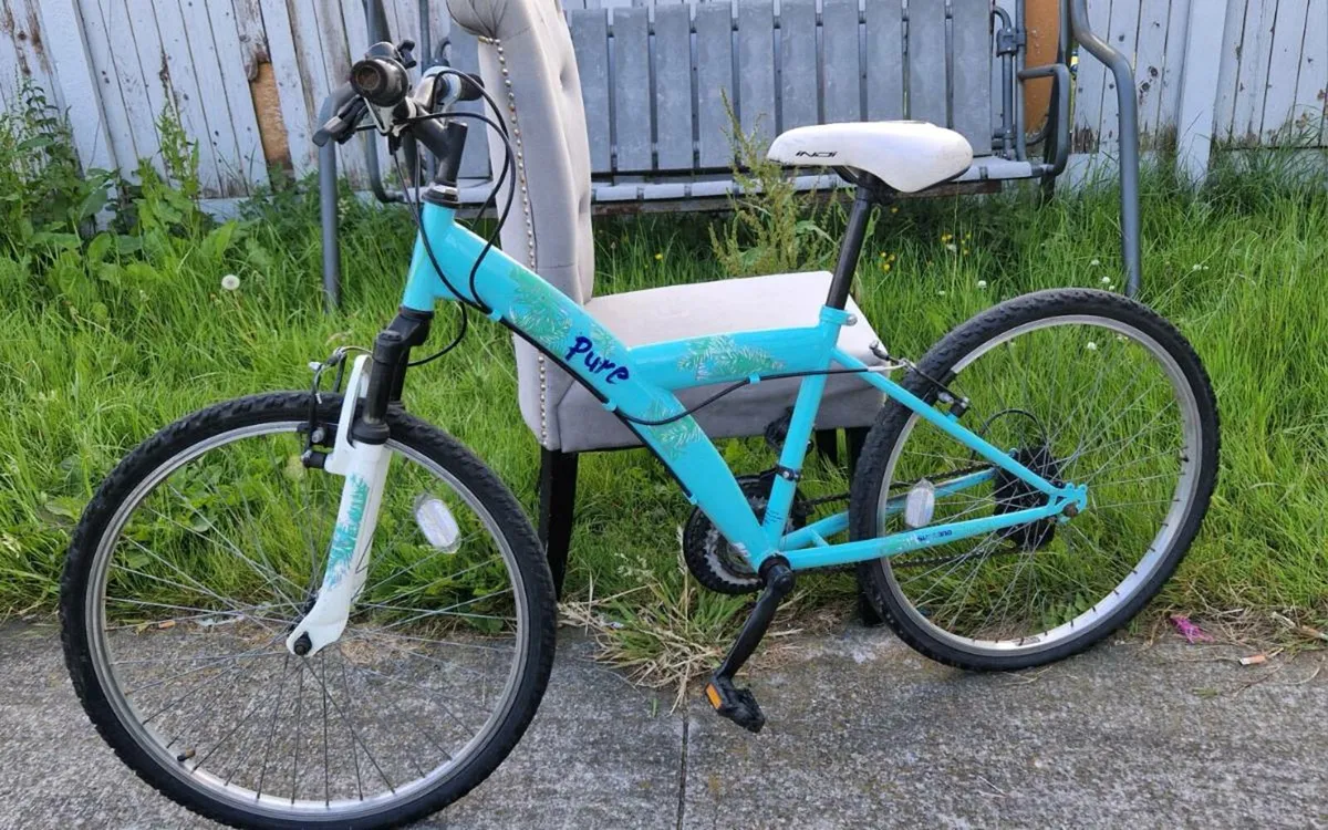 Bike - Image 1