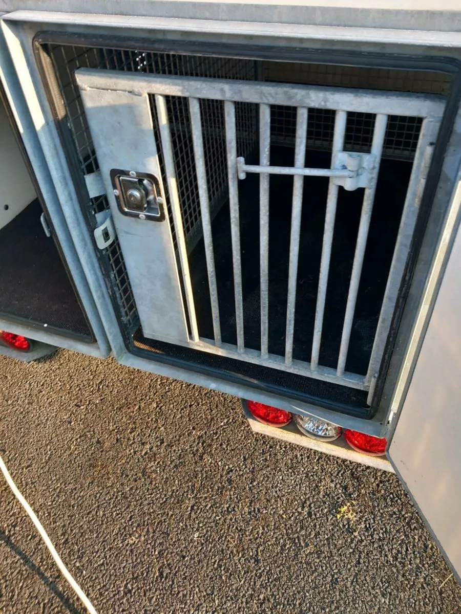 Dog trailer - Image 4