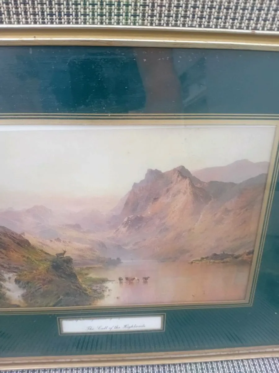 Pictures - Image 4