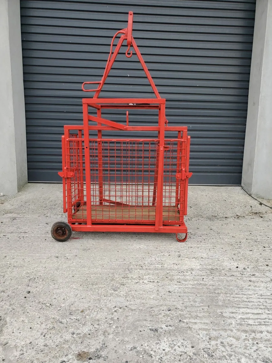 Sheep weighing scales - Image 4