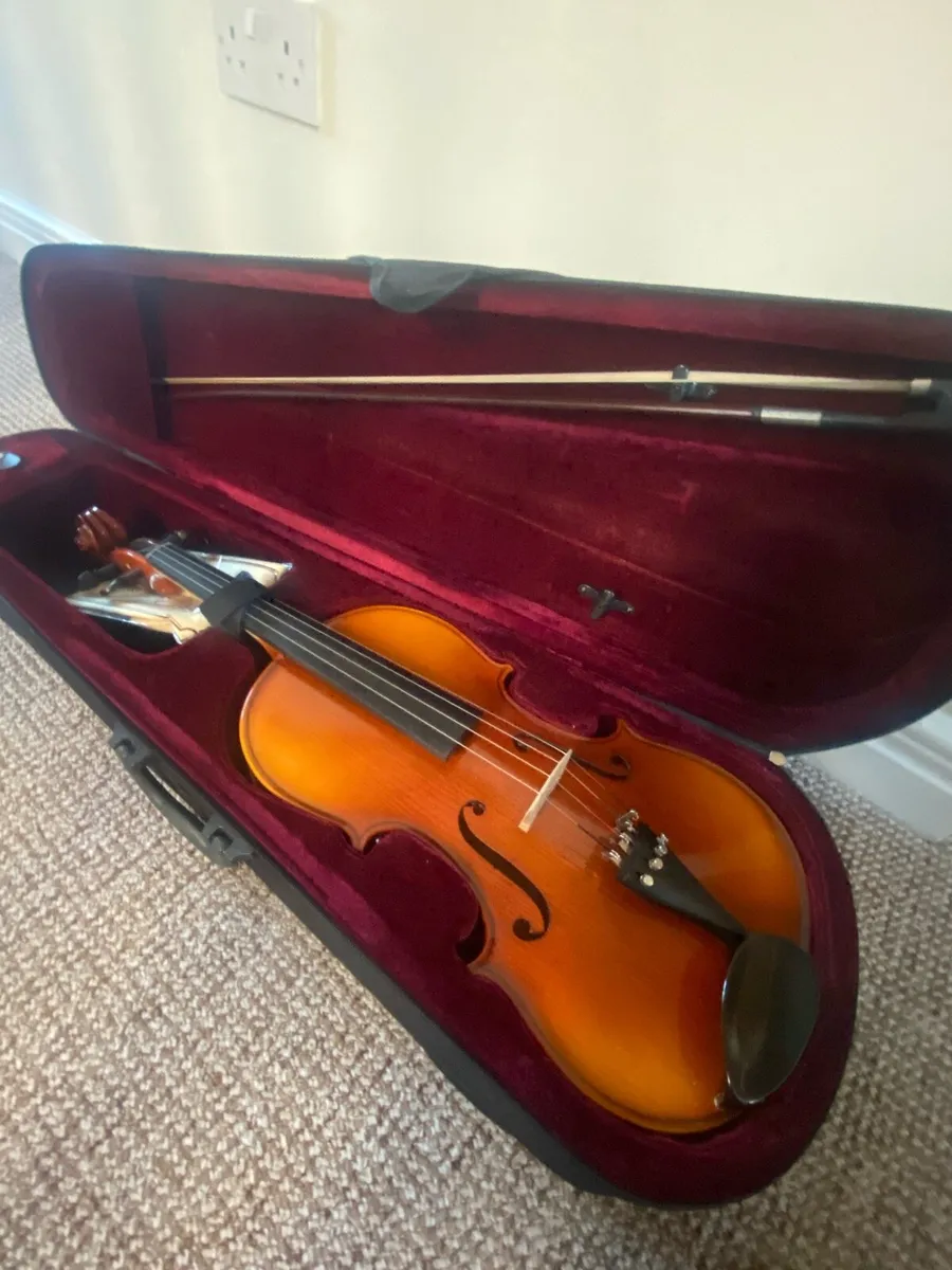 Gorgeous viola - Image 1