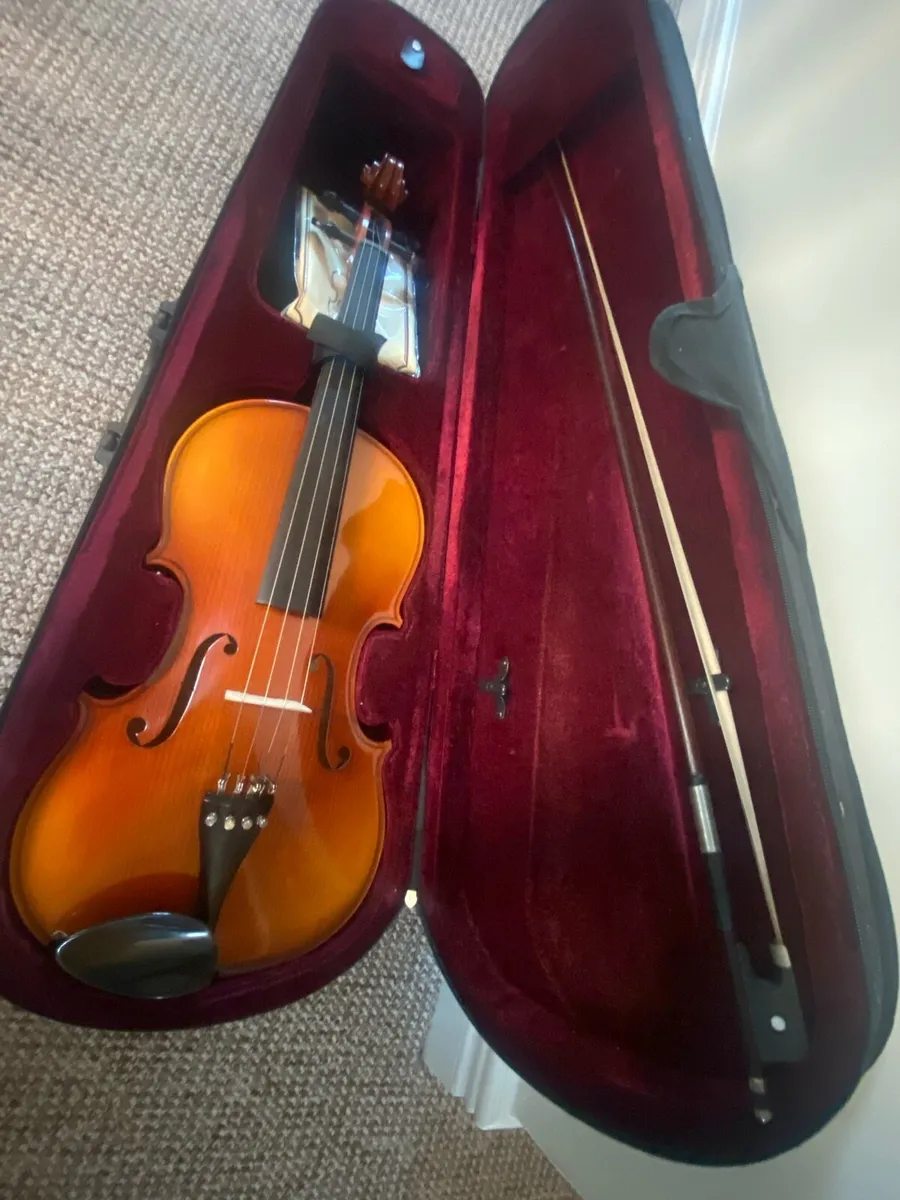 Gorgeous viola - Image 2