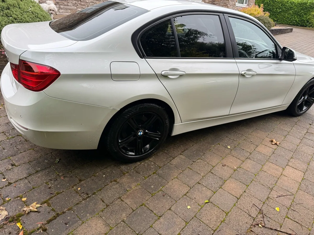 2013 (132) BMW 318D - Image 3
