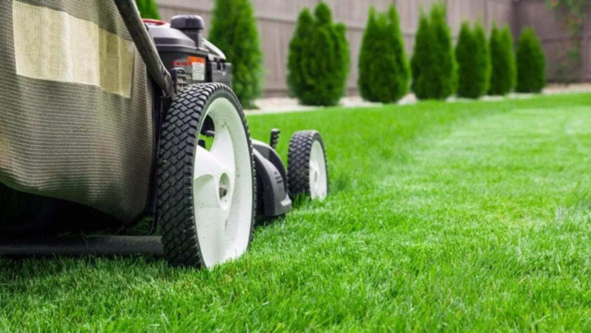 Anyone wants there grass cut in Longford inbox me
