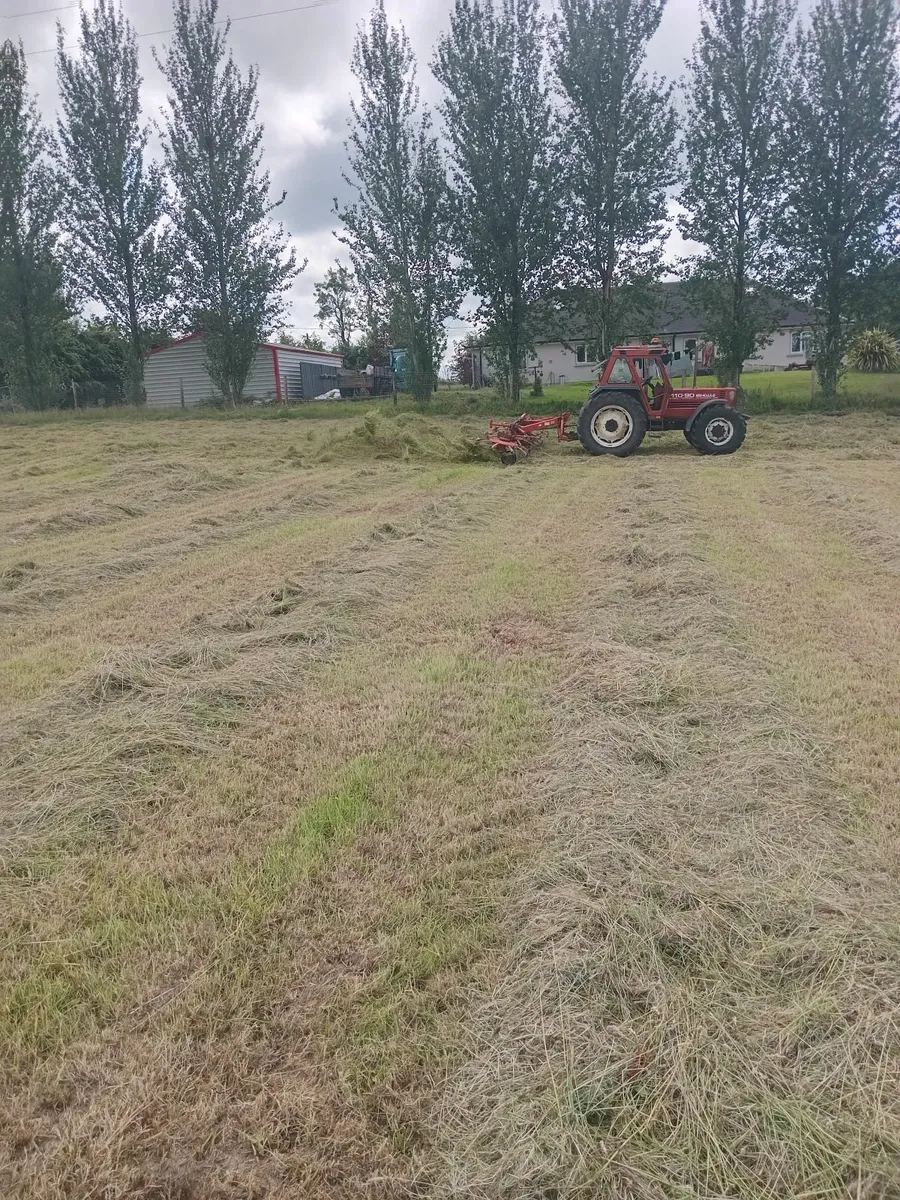 Square bales of hay