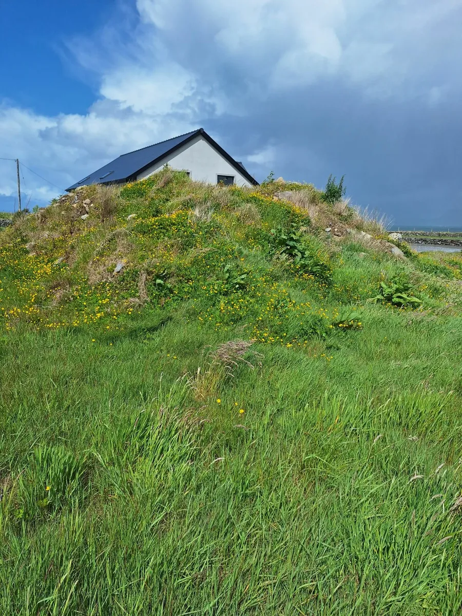 Soil free to take away - Image 1