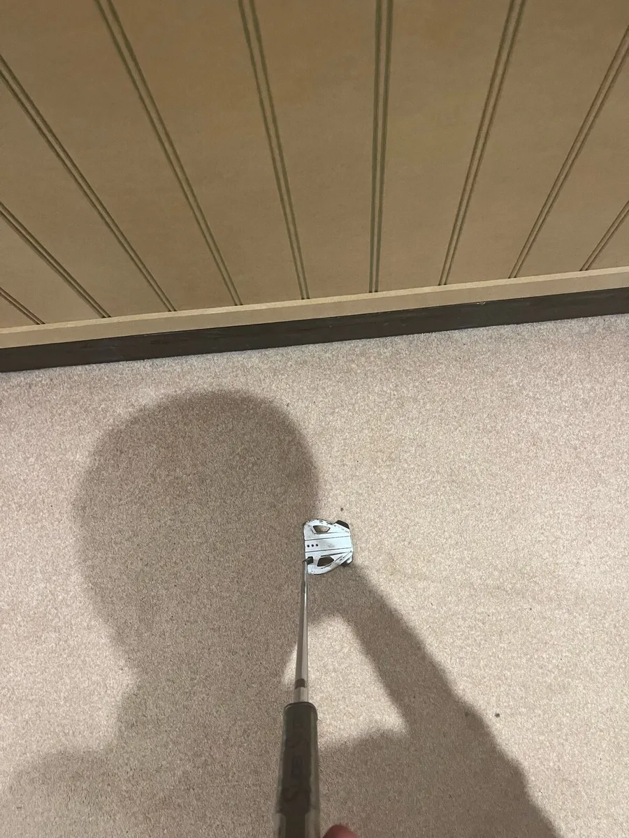 Spider putter - Image 3