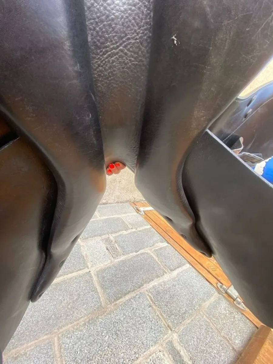 Prestige jumping saddle - Image 1