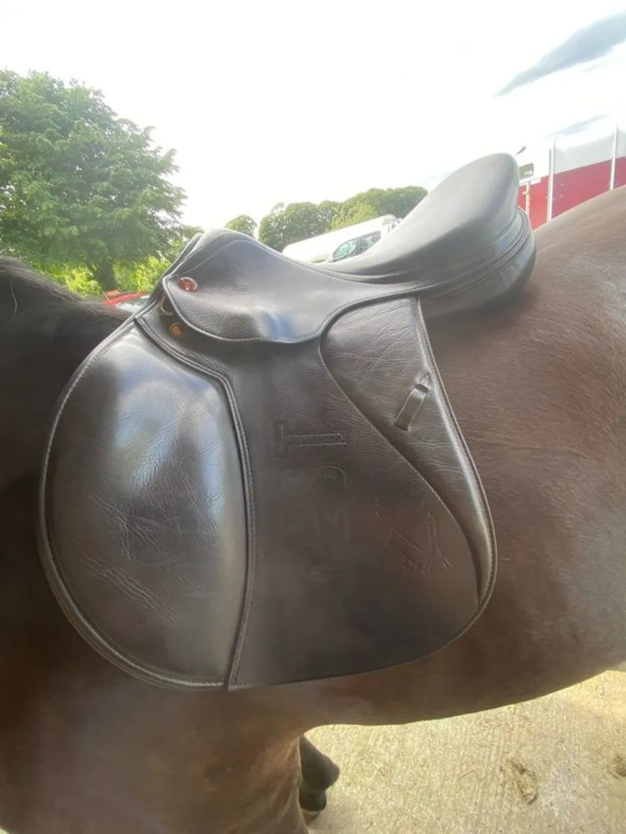 Prestige jumping saddle - Image 3