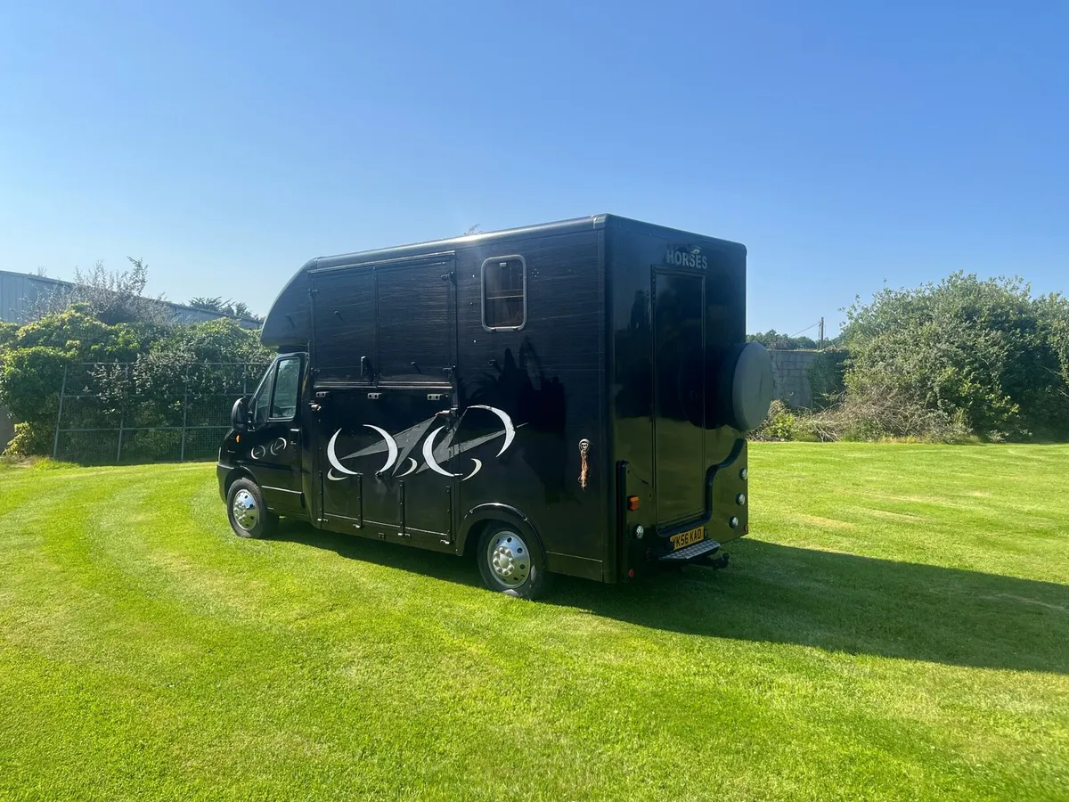 2007 horse lorry - Image 3