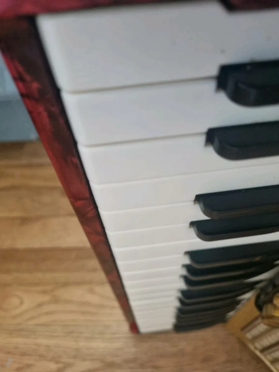 Piano Accordian - Image 1