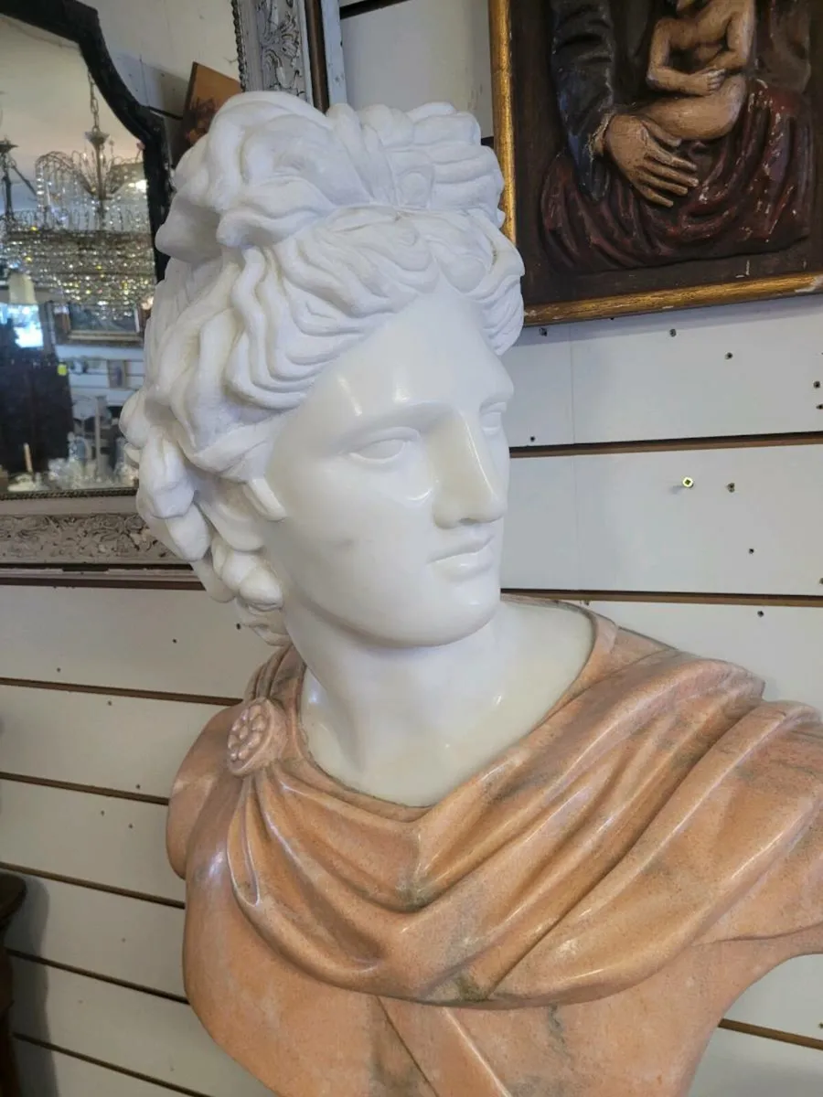 Apollo del Belvedere Busto in Marmo Italia - Image 3