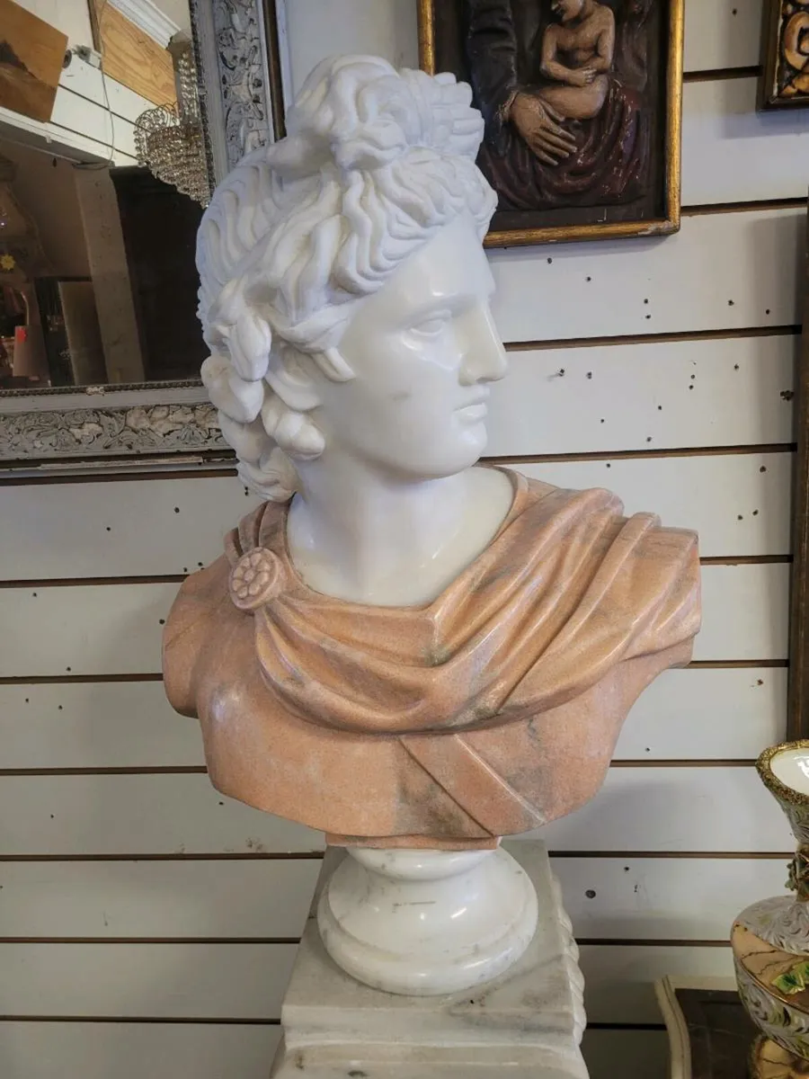 Apollo del Belvedere Busto in Marmo Italia - Image 4