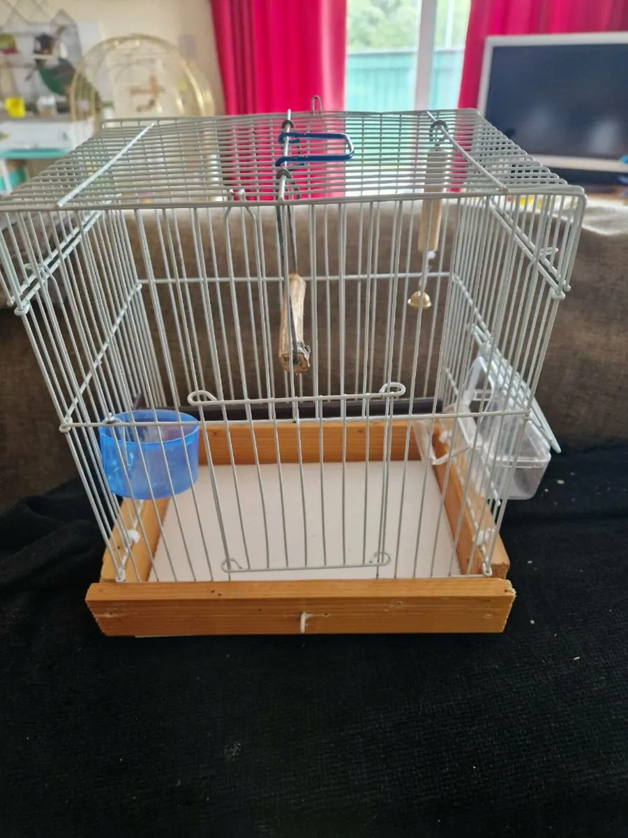 Bird cages - Image 1