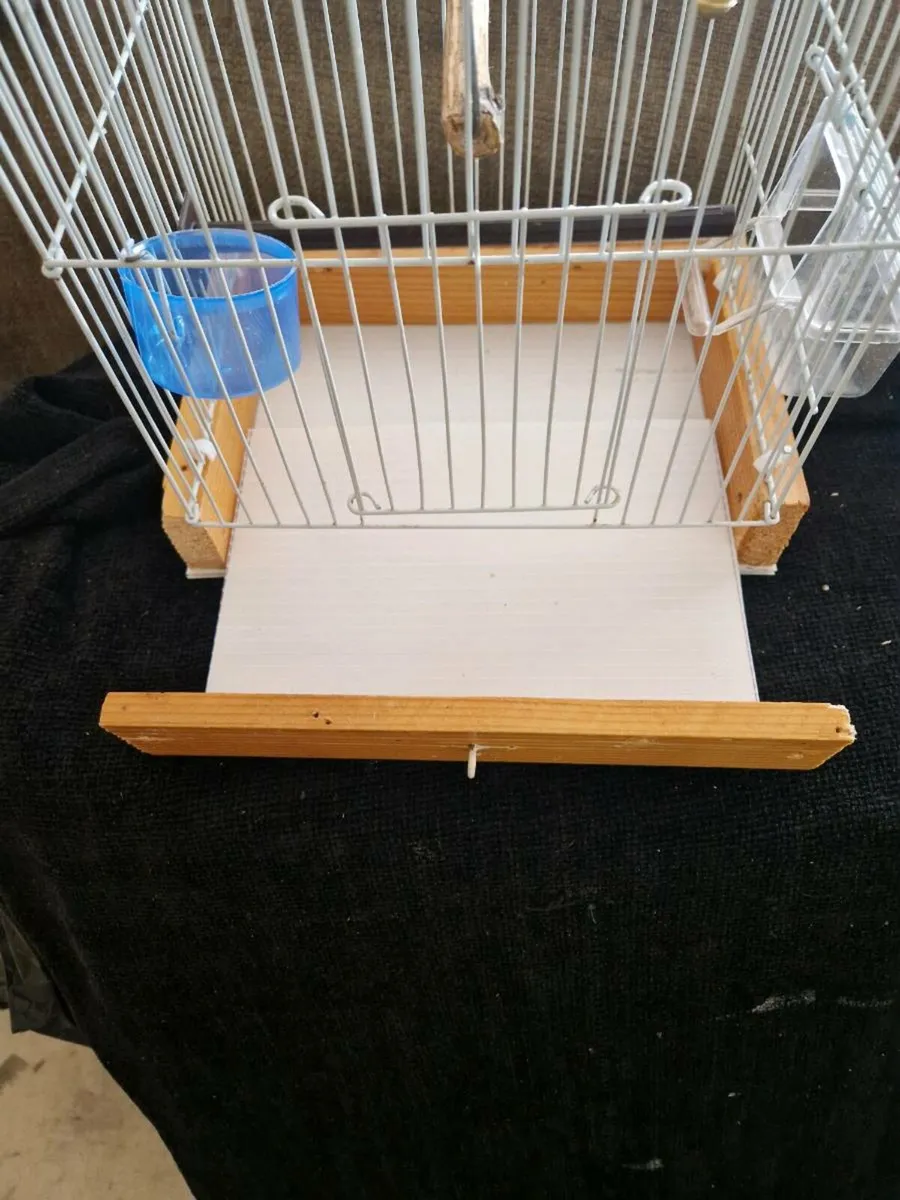 Bird cages - Image 2