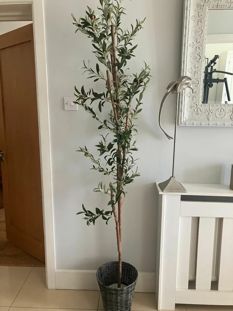 Very Tall Artificial Olive Tree & Pot - Image 1