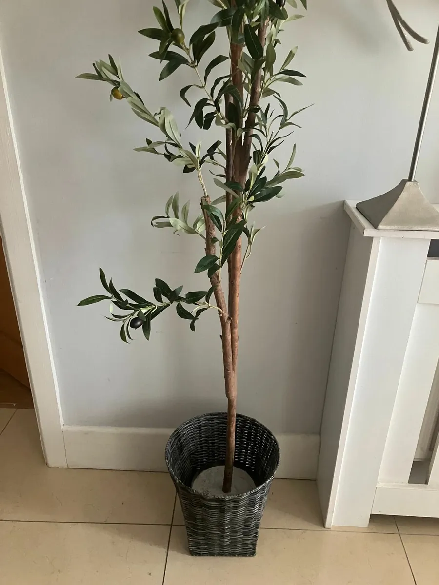 Very Tall Artificial Olive Tree & Pot - Image 2