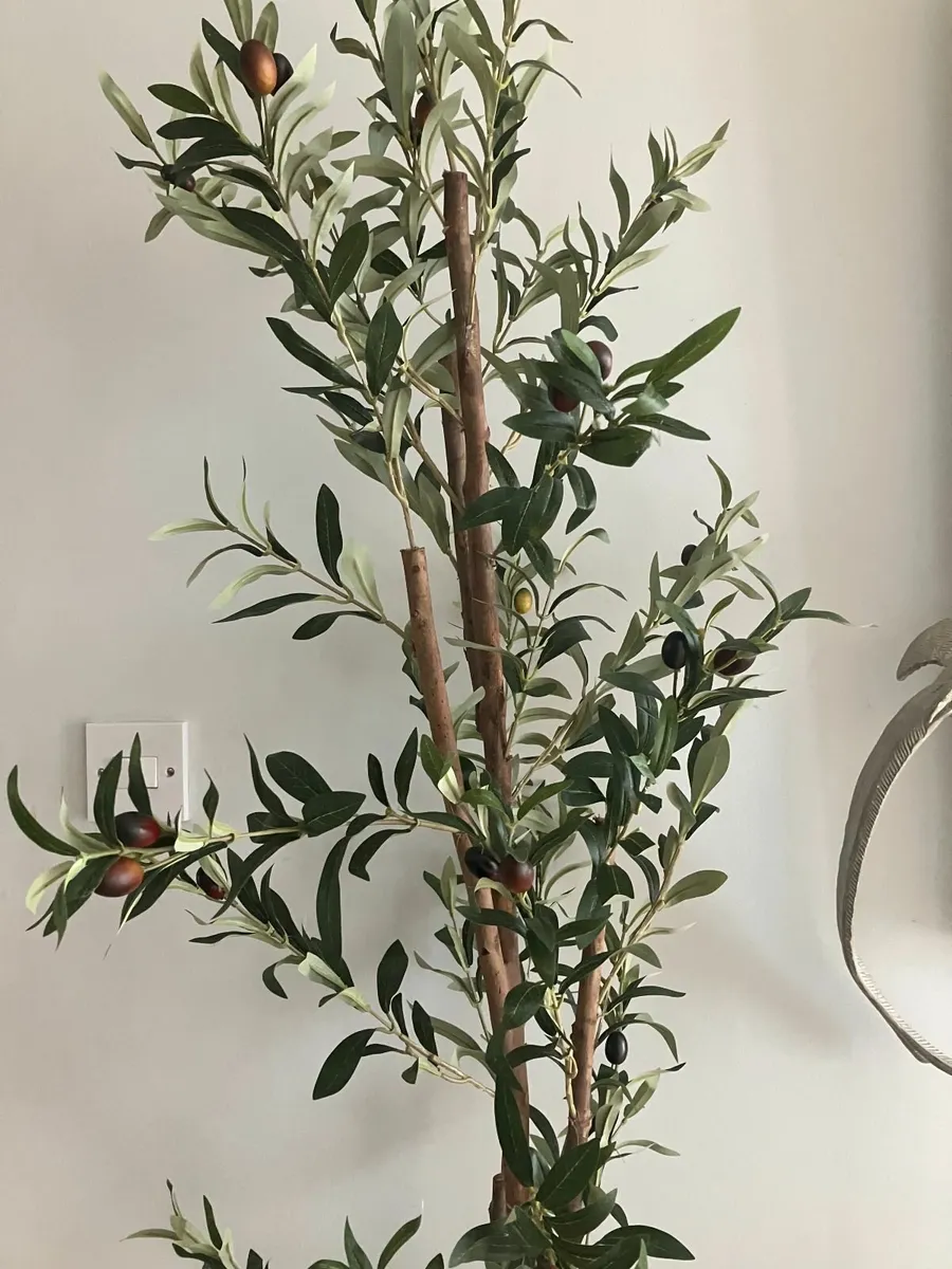 Very Tall Artificial Olive Tree & Pot - Image 3