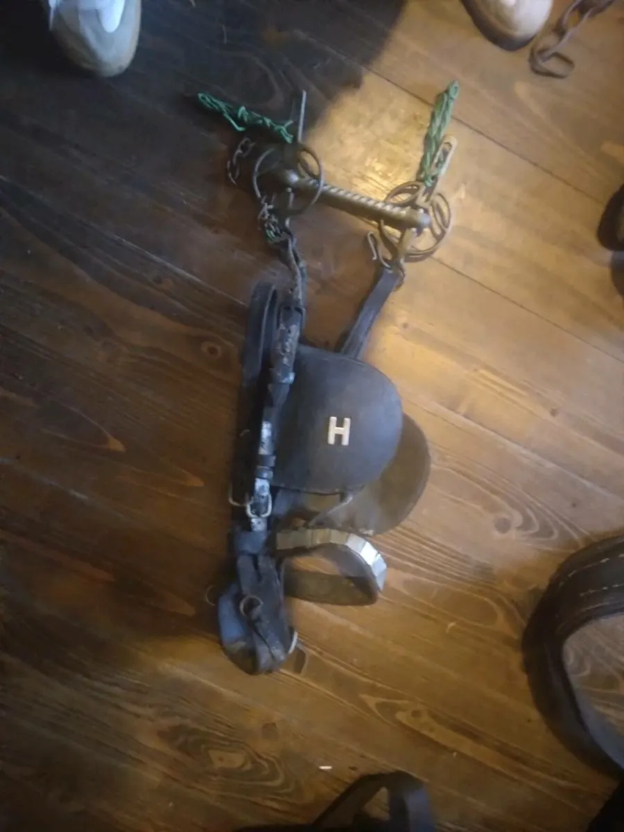 Common horse harness - Image 1