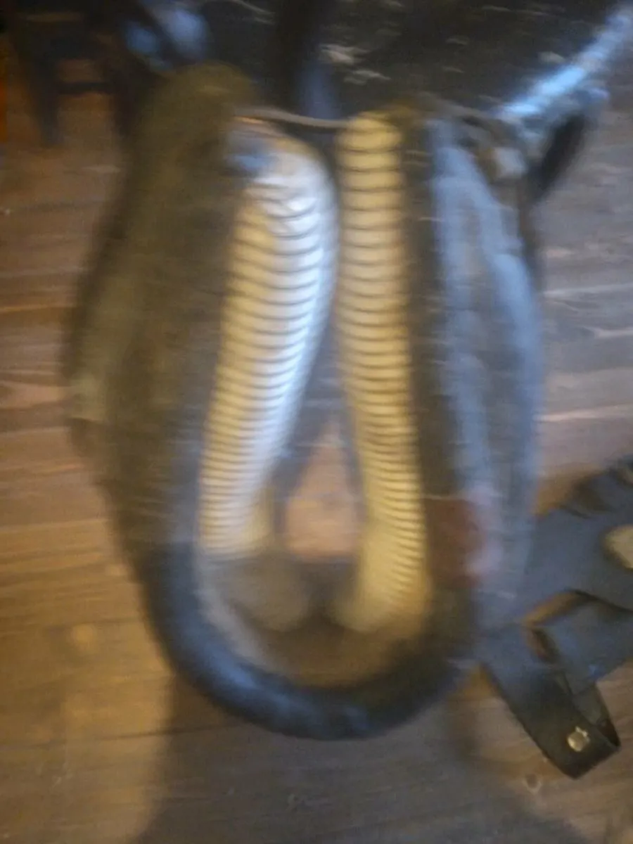 Common horse harness - Image 2