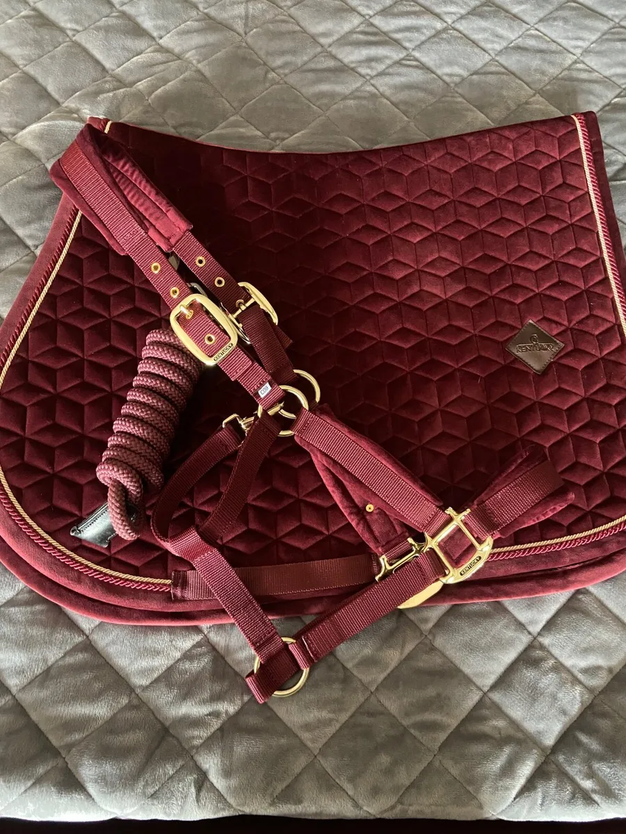 Equestrian - Image 1