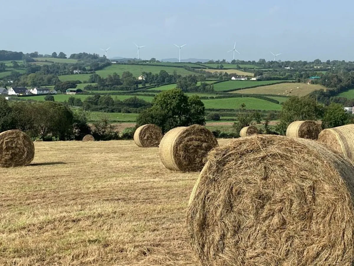 HAY (Baling Thursday / Friday) - Image 3
