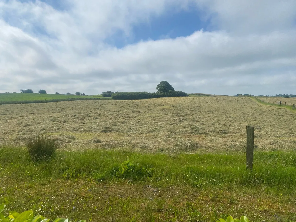 Hay for sale - Image 1