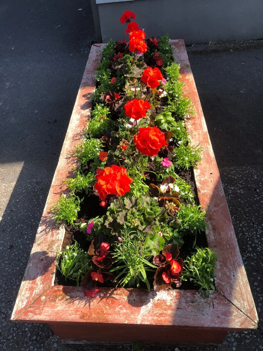 Business Planters & forecourt care - Image 2