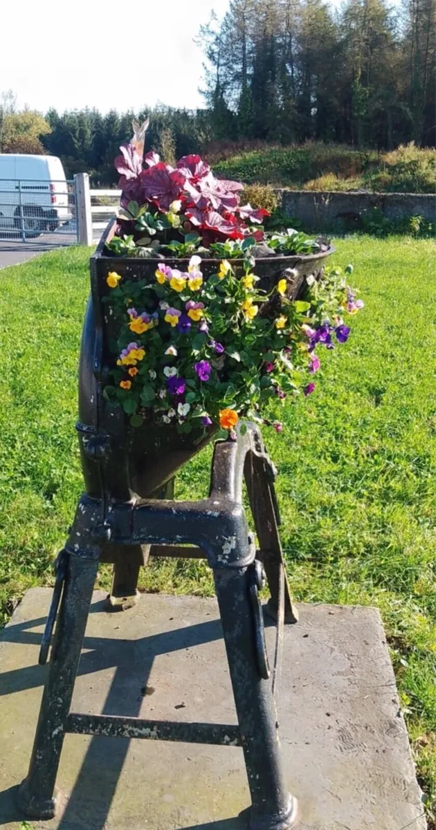 Business Planters & forecourt care - Image 4