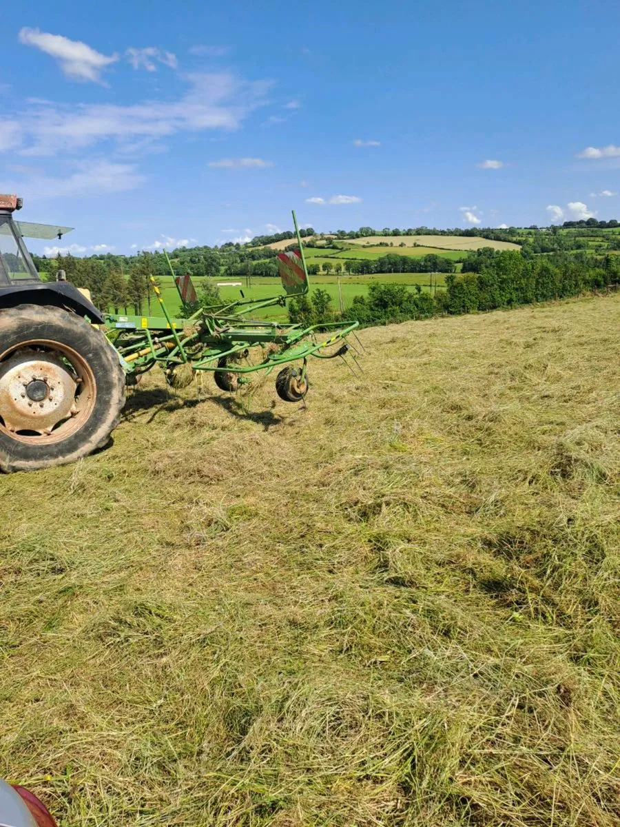 Hay for sale - Image 1